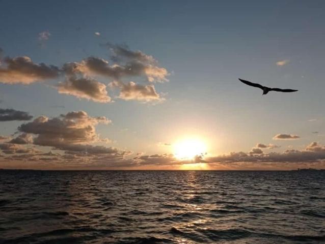 Corazón del Pescador Cancún Exterior foto
